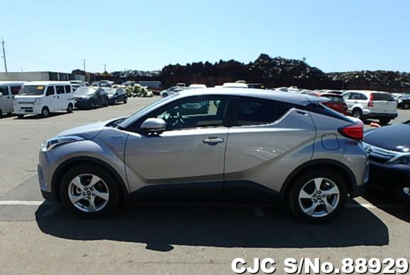 2017 Toyota C-HR Gray for sale | Stock No. 88929 | Japanese Used